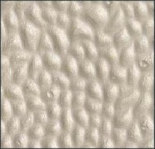 Meridian Alabaster Pebble LM-6572 decorative wall panel, beige texture finish