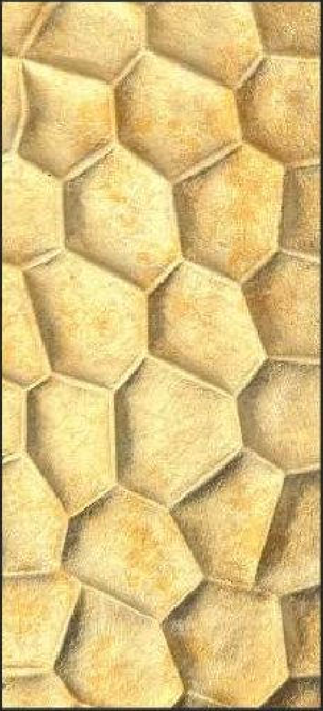 Meridian Amber Hex LM-6574 decorative wall panel, beige hexagon finish
