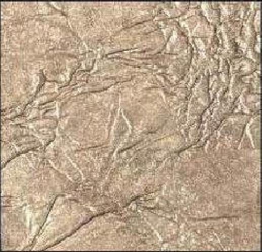 Meridian Dune Crush LM-6581 decorative wall panel, beige texture finish