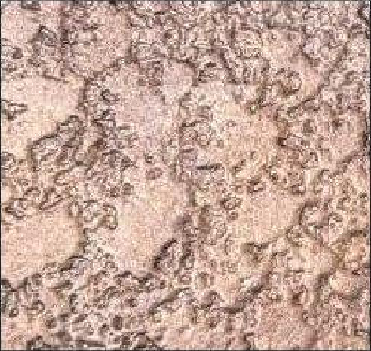 Meridian Mineral Blush LM-6811 decorative wall panel, beige texture finish