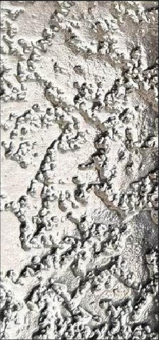 Meridian Silver Coral QA-9807 decorative wall panel, silver texture finish