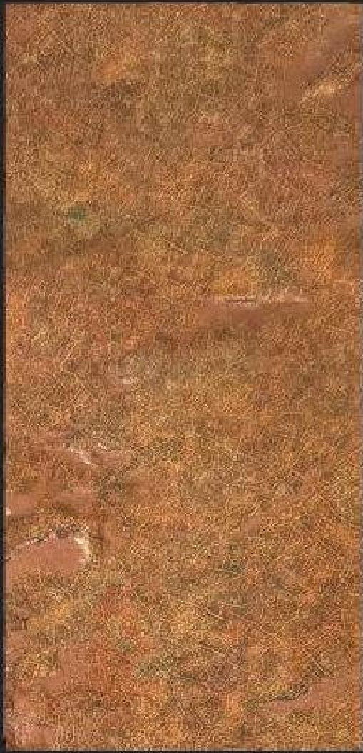 Meridian Bronze Quarry QA-9809 decorative wall panel, gold texture finish