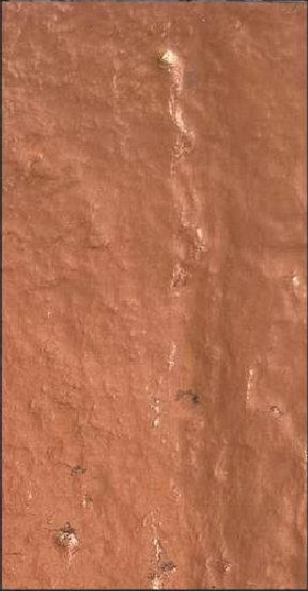 Meridian Rose Blush QA-9816 decorative wall panel, orange texture finish