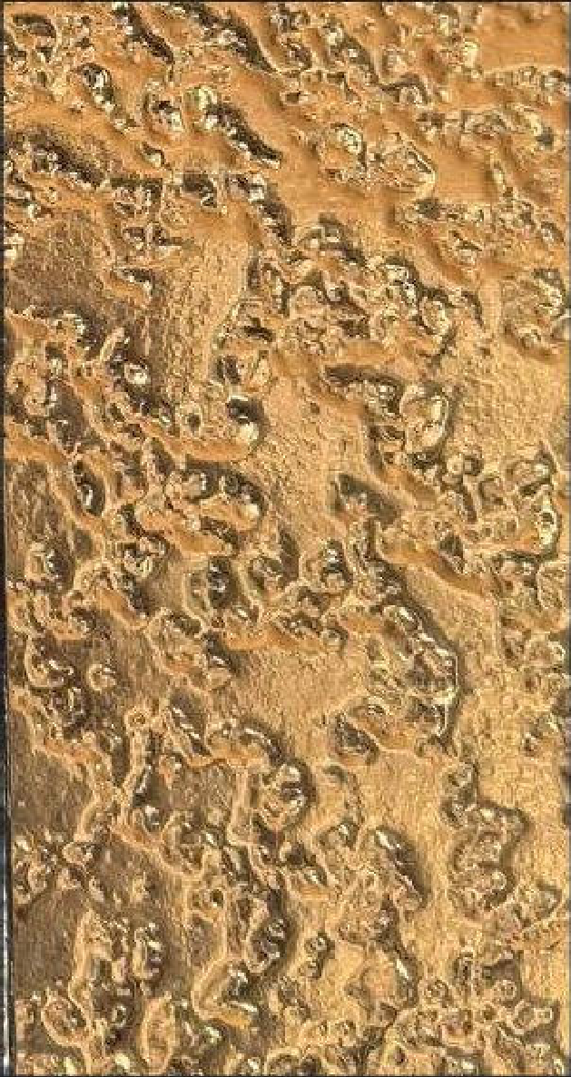 Meridian Gold Coral QA-9818 decorative wall panel, gold texture finish