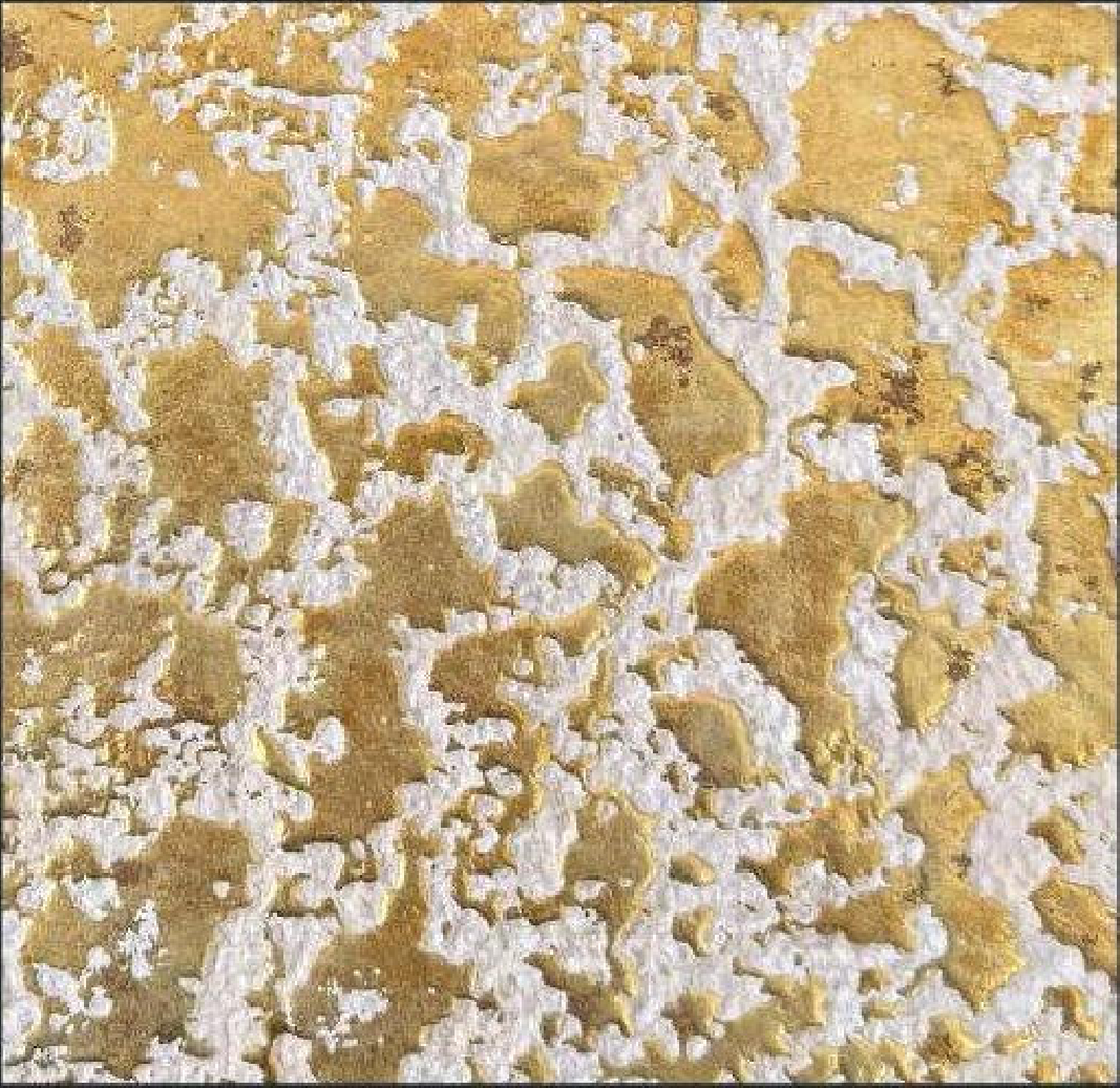 Meridian Amber Lichen QA-9820 decorative wall panel, beige texture finish