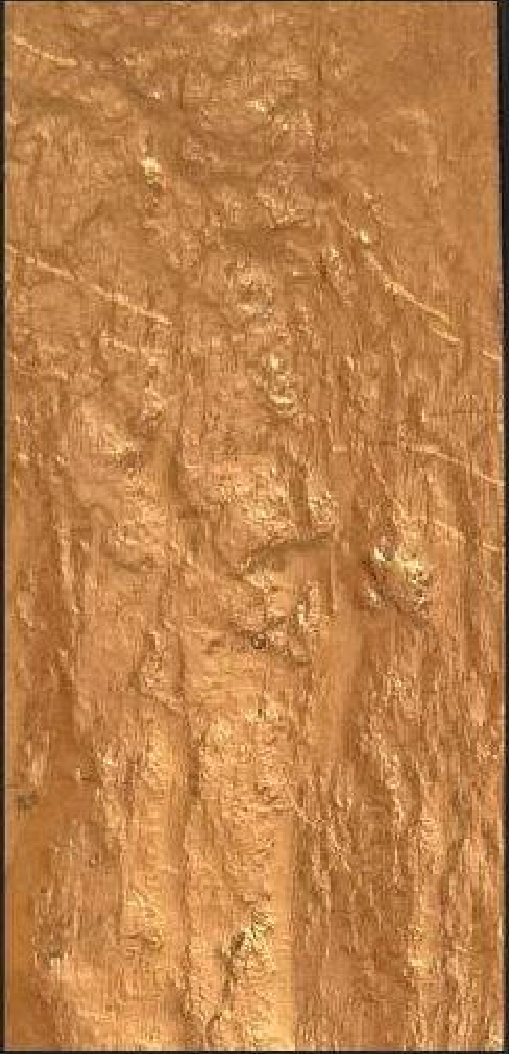 Meridian Burnt Copper QA-9821 decorative wall panel, gold texture finish