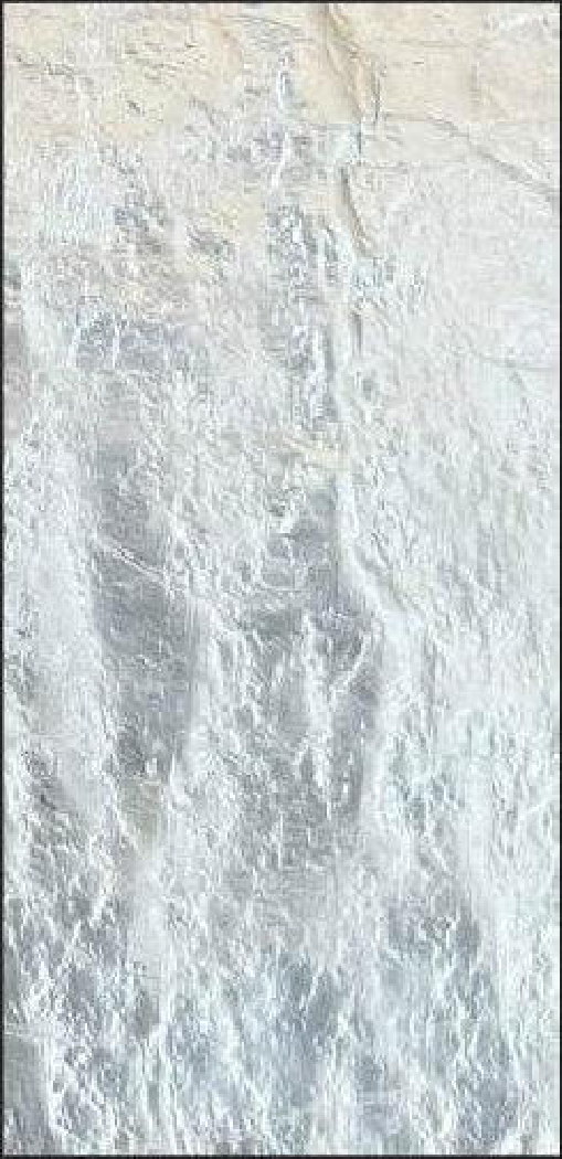 Meridian Frost Silver QA-9826 decorative wall panel, cream texture finish