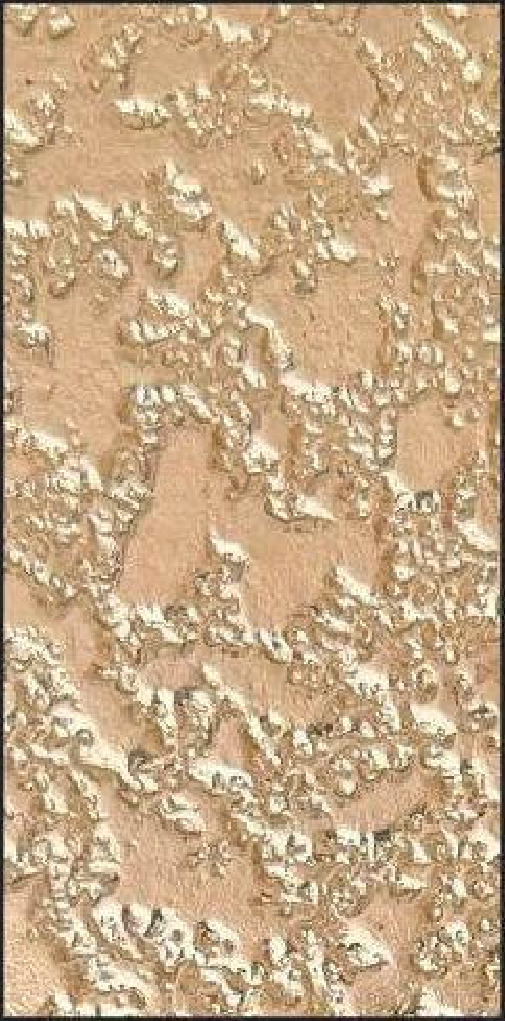 Meridian Blush Coral QA-9827 decorative wall panel, beige texture finish