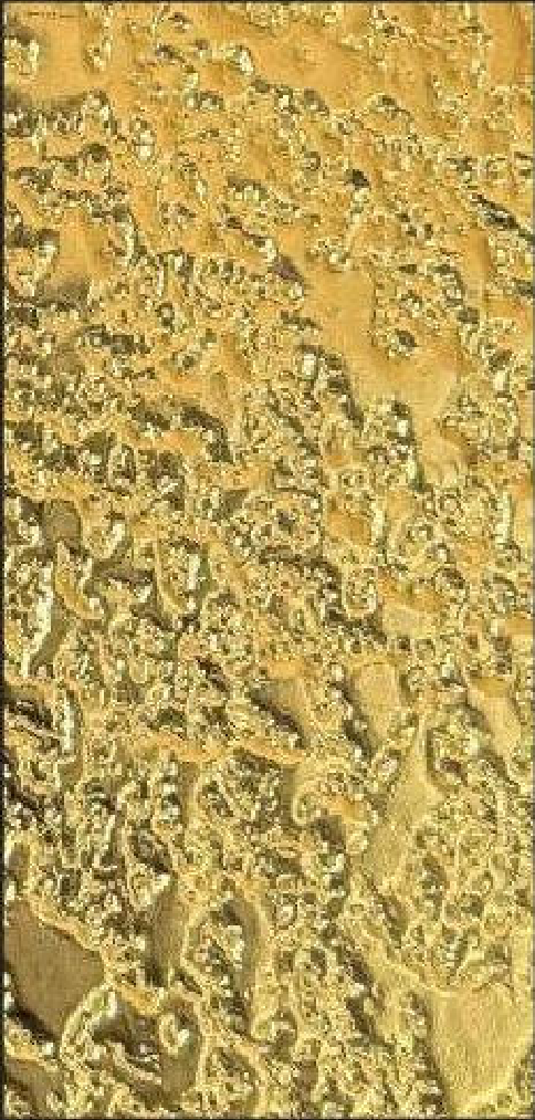Meridian Champagne Coral QA-9830 decorative wall panel, gold texture finish