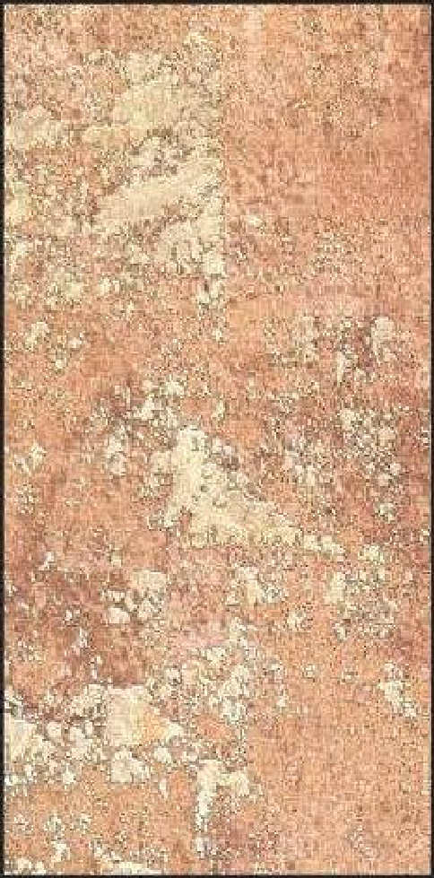 Meridian Coral Fresco VL-7301 decorative wall panel, beige texture finish
