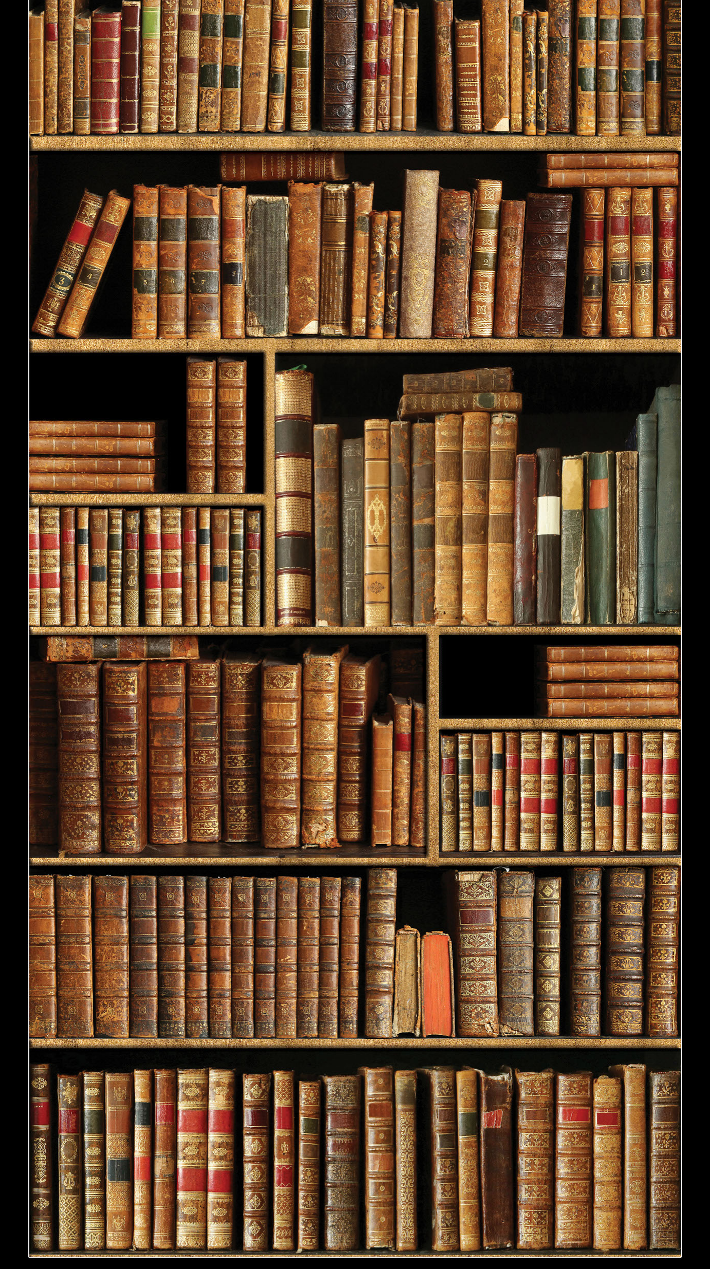 Revo Antique Library digital laminate, a photographic antique bookshelf print with leather-bound spines