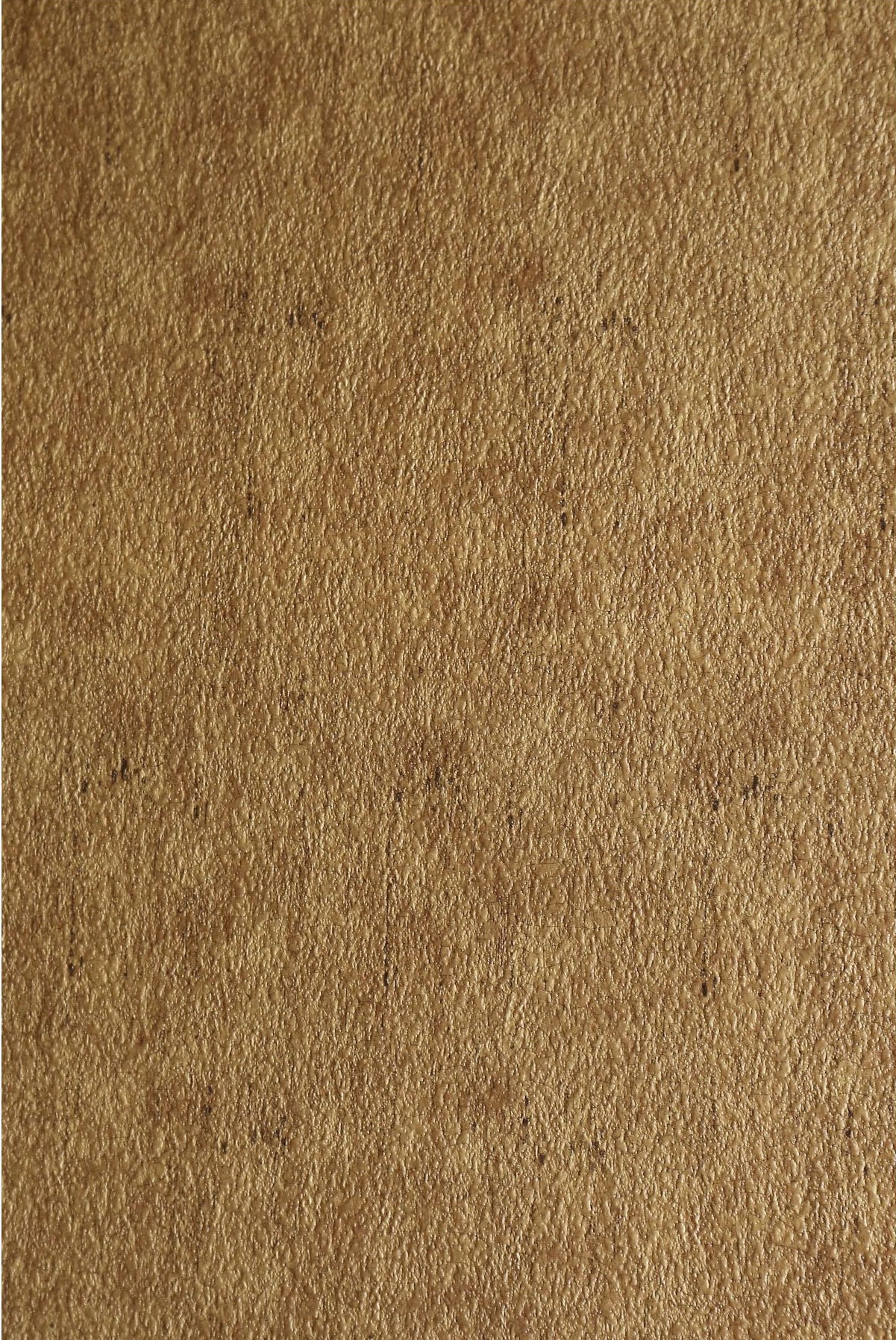 Beige textured laminate wall panel with rough surface and subtle speckles, plain color finish.