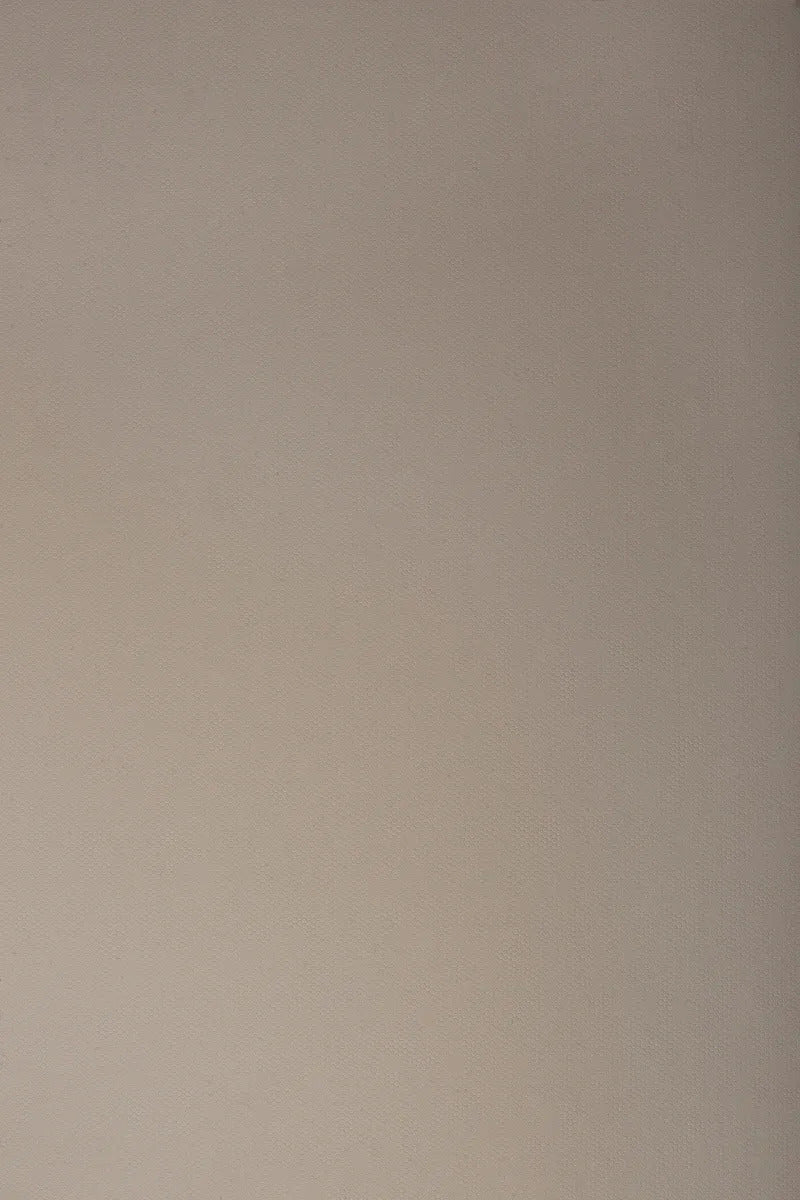 Artisan Master S-1006 Beige Plain Colors Texture Wall Panel