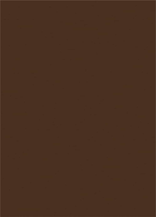 Brown plain laminate with mirror finish, solid color, no pattern or texture visible, glossy sheen decorative laminate sheet