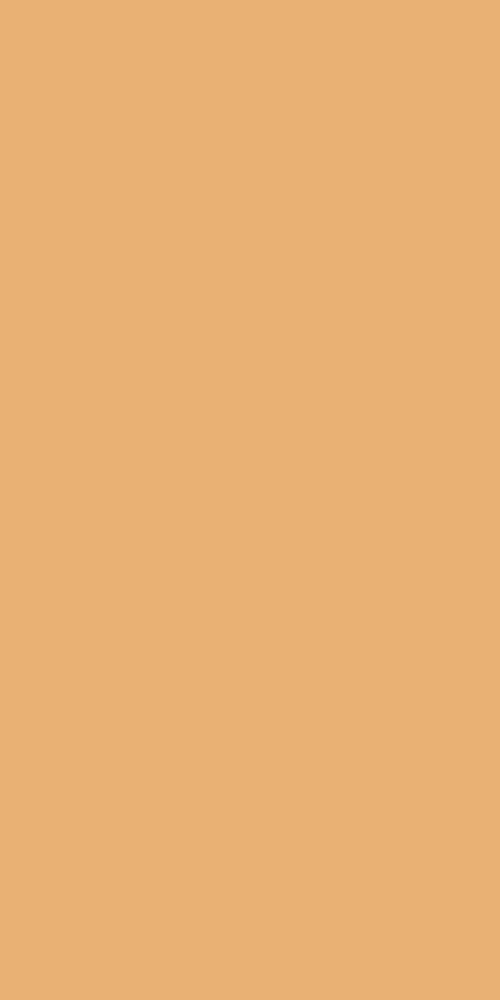 Beige plain color laminate with mirror finish showing uniform sheen and smooth texture