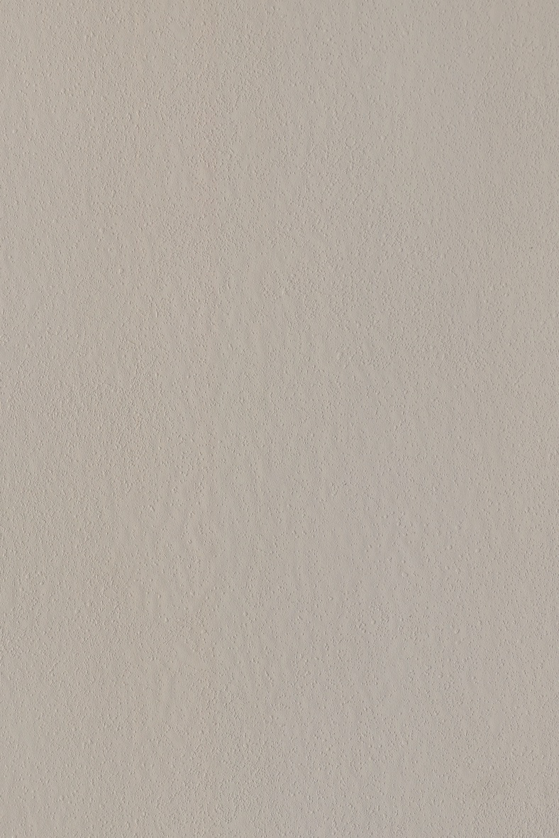 Snazzy Warm Greige Matte Wall Panel texture close-up