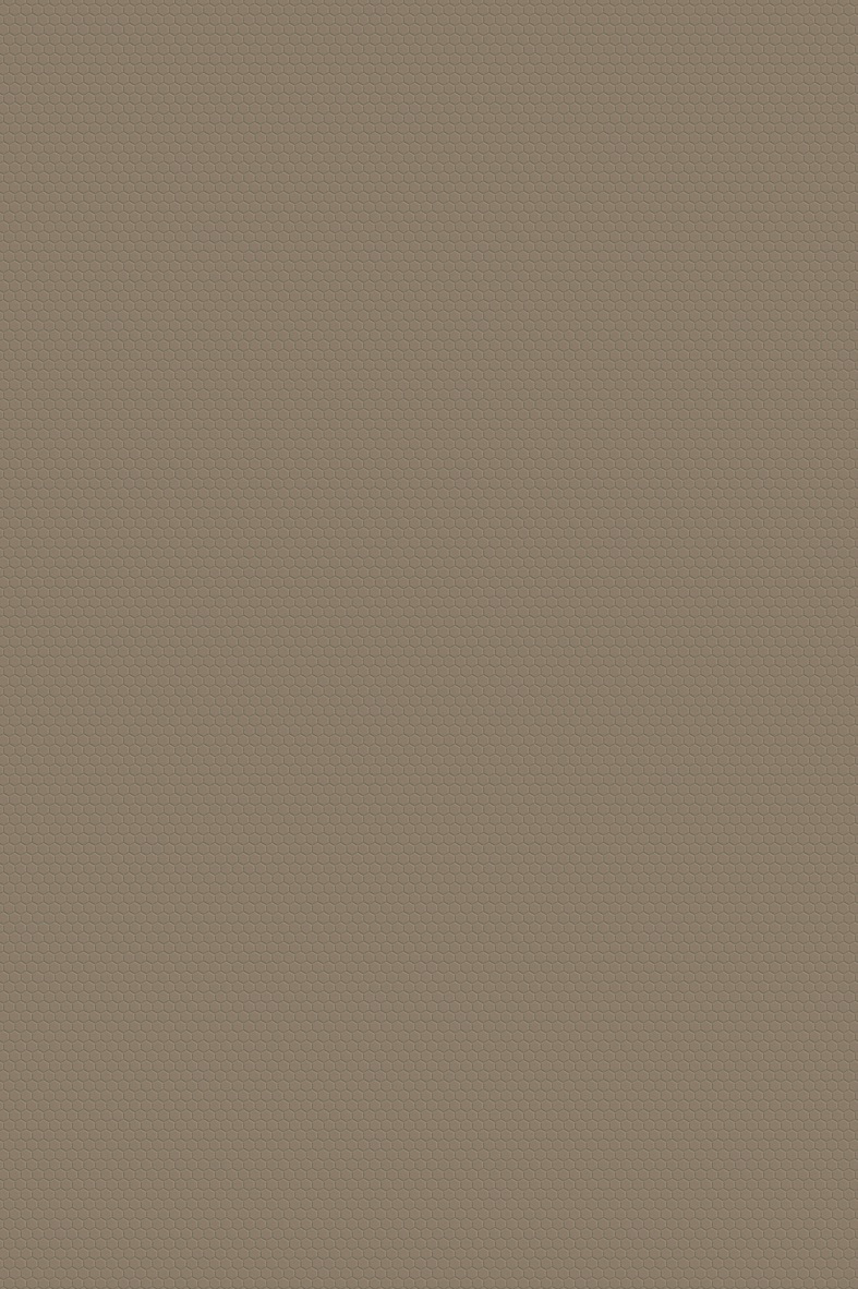 Snazzy Taupe Hexagon Wall Panel texture close-up
