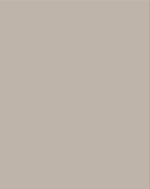 Meridian Spectre 804 Greige Plain Panel