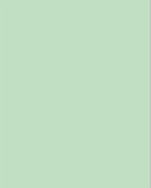 Meridian Spectre 820 Mint Green Plain Panel