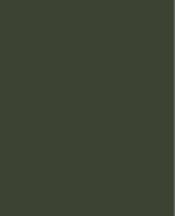 Meridian Spectre 835 Forest Green Plain Panel