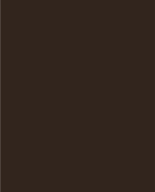 Meridian Spectre 897 Espresso Brown Plain Panel
