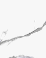 Meridian Spectre SATVARIO Satvario Marble Plain Panel