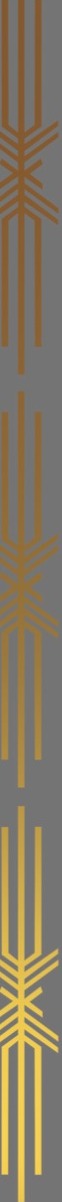 Highlighter Laminate Patta GL-10002 beige 8x0.5 ft decorative laminate swatch