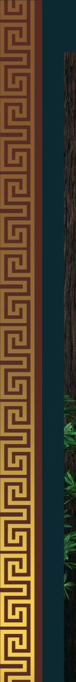 Highlighter Laminate Patta GL-8012 brown 8x0.5 ft decorative laminate swatch