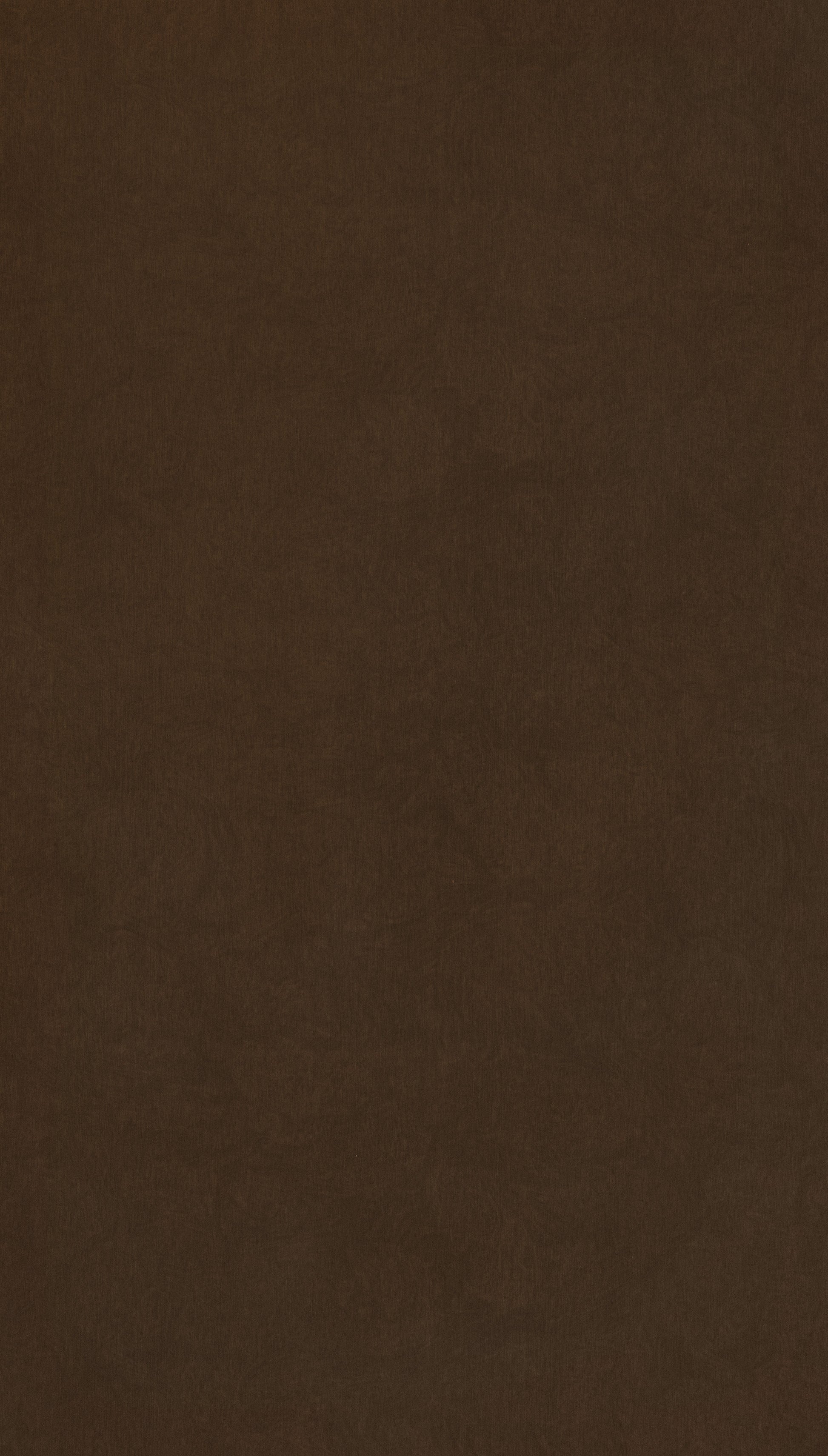 Brown Ray Brown Plain colors Texture Laminate - Stylam