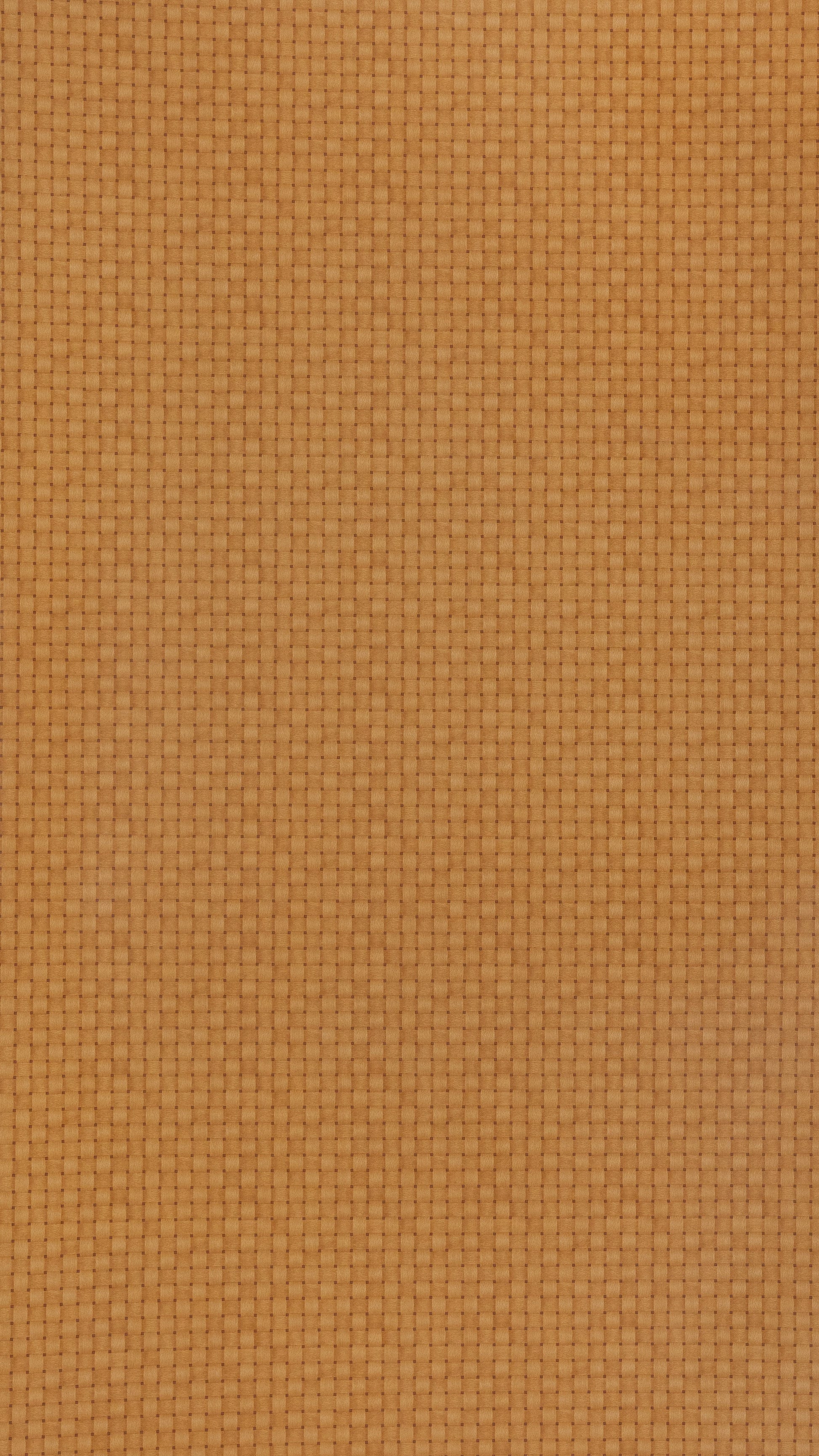Beech Fusion Brown Designer Texture Laminate - Stylam