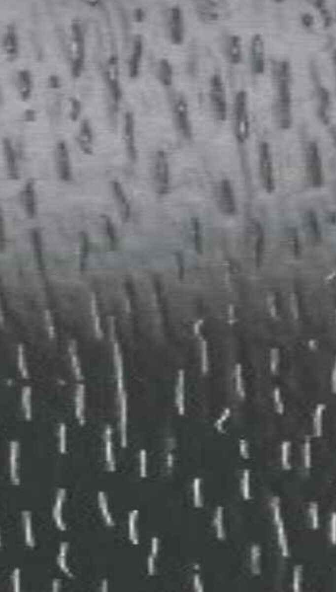 New Dry Matt Grey Abstract Laminate