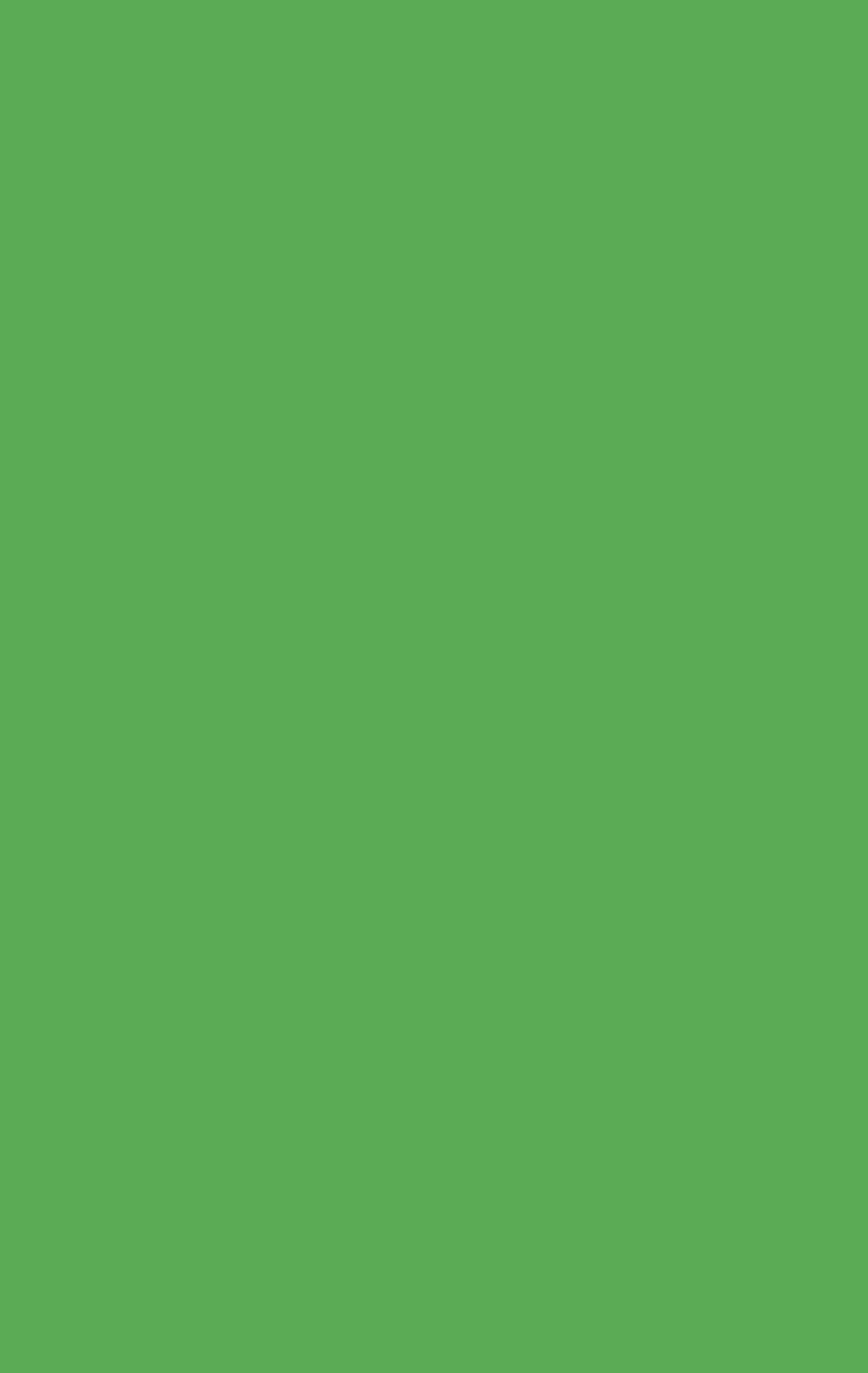 Kiwi Green Green Plain colors Texture Laminate - Stylam