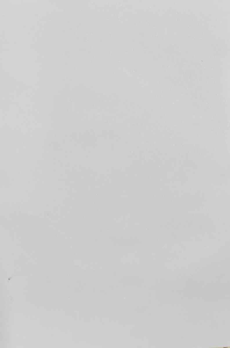 Lunar Glow Grey Plain colors Texture Laminate