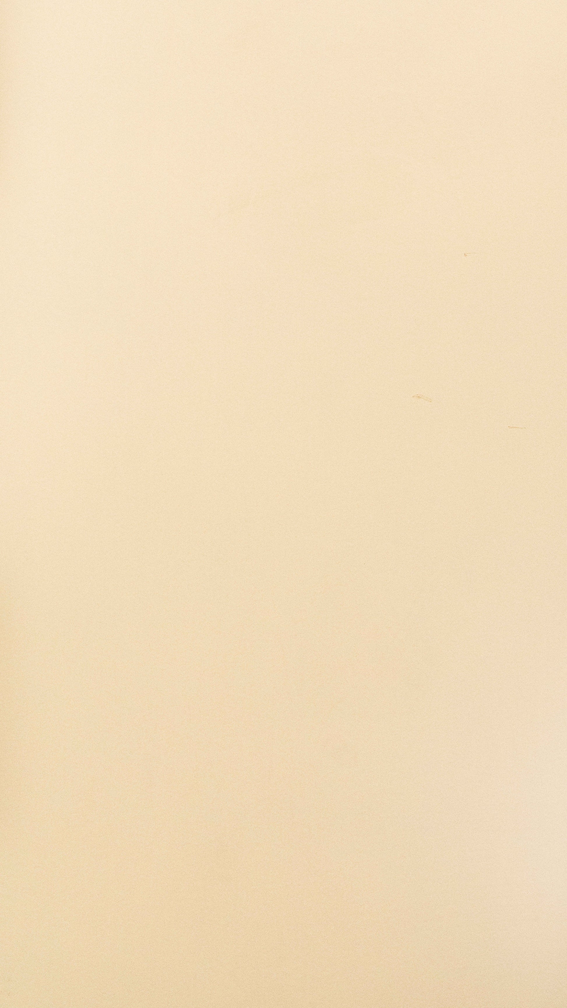 Vibrant cream Cream Plain colors Texture Laminate - Stylam