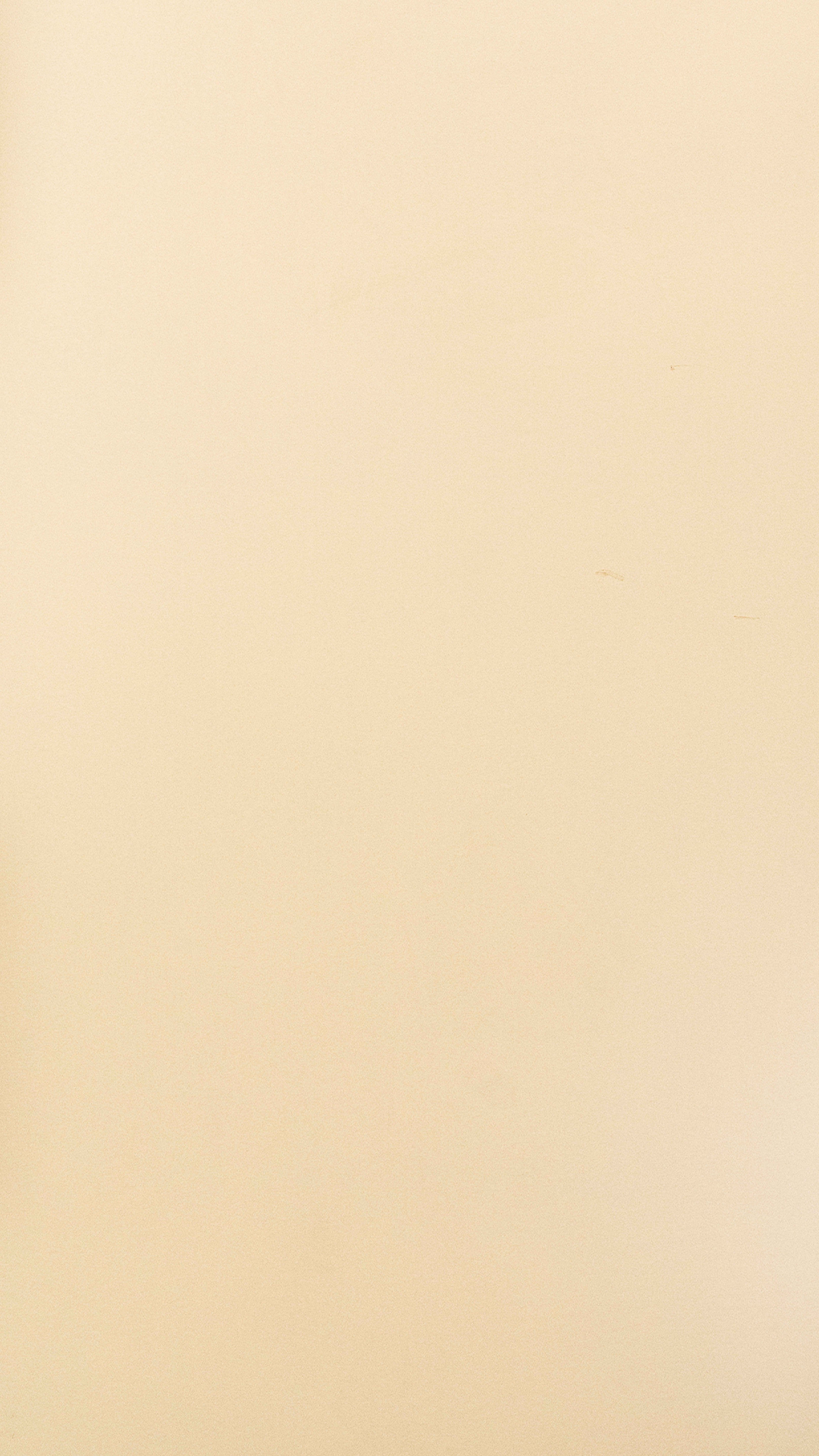 Vibrant cream Cream Plain colors Texture Laminate - Stylam