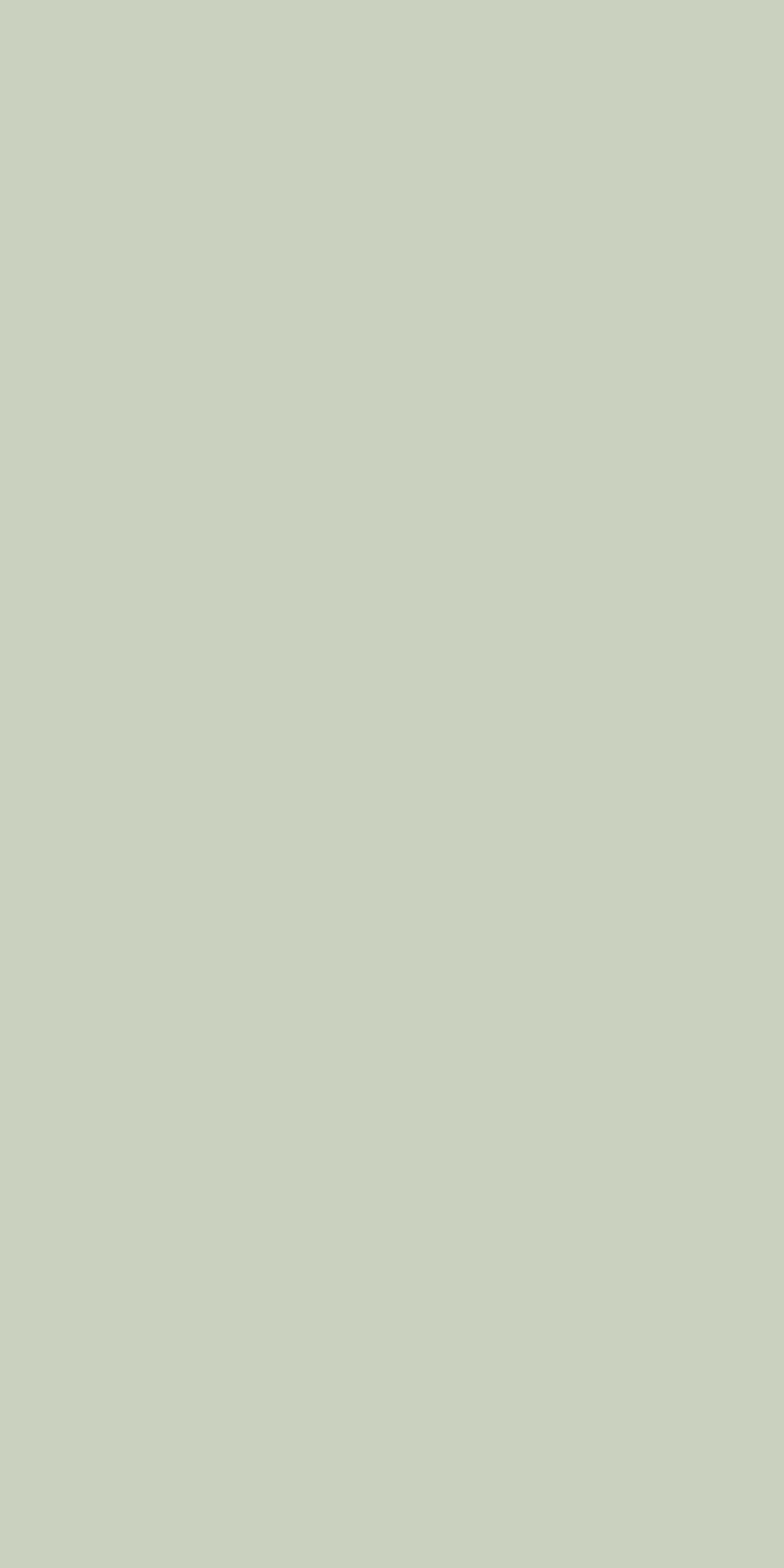 Sage Leaf Green Plain colors Texture Laminate - Stylam