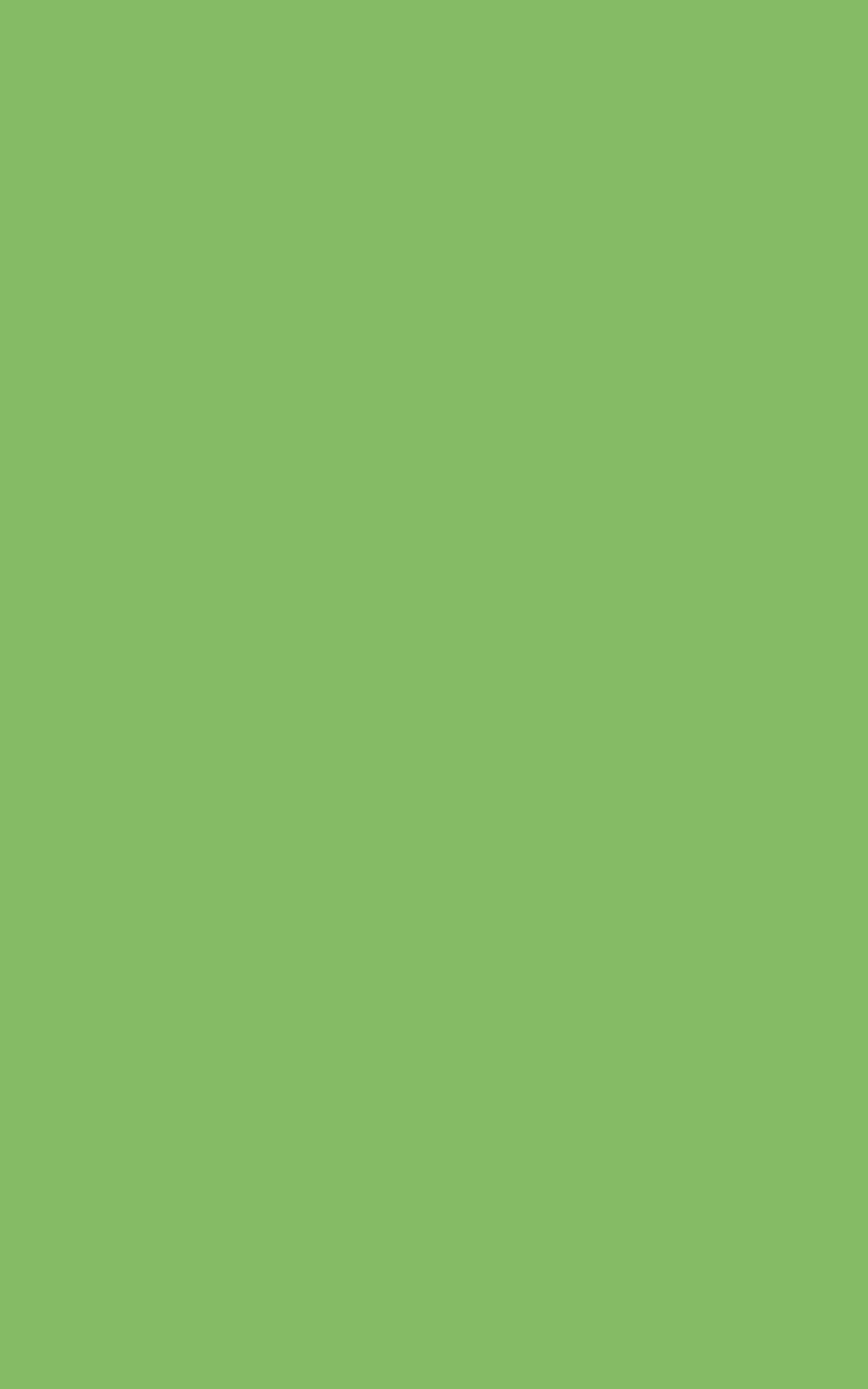 HINA Green Plain colors Texture Laminate - Stylam