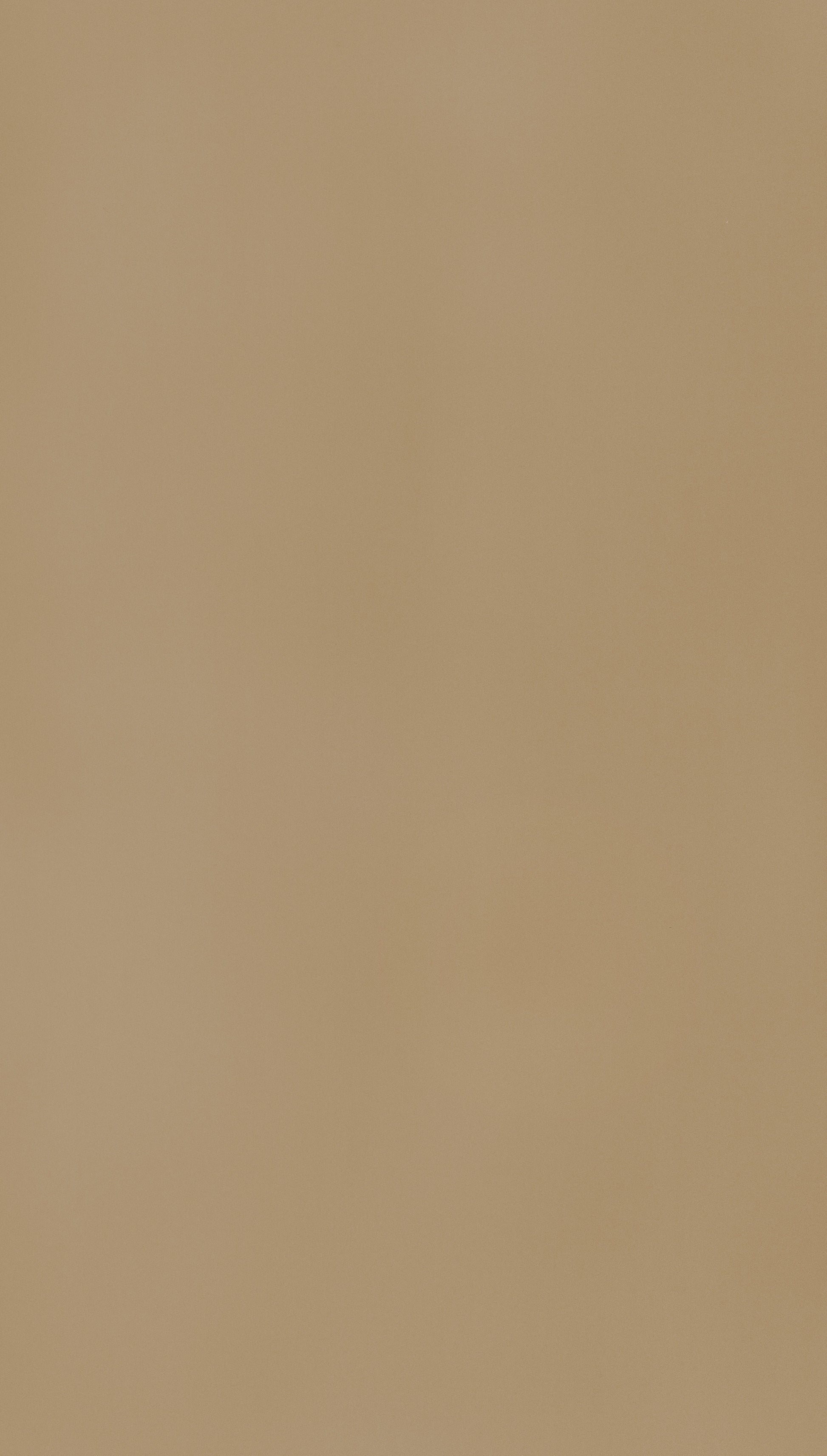 Tussock Beige Beige Plain colors Texture Laminate - Stylam
