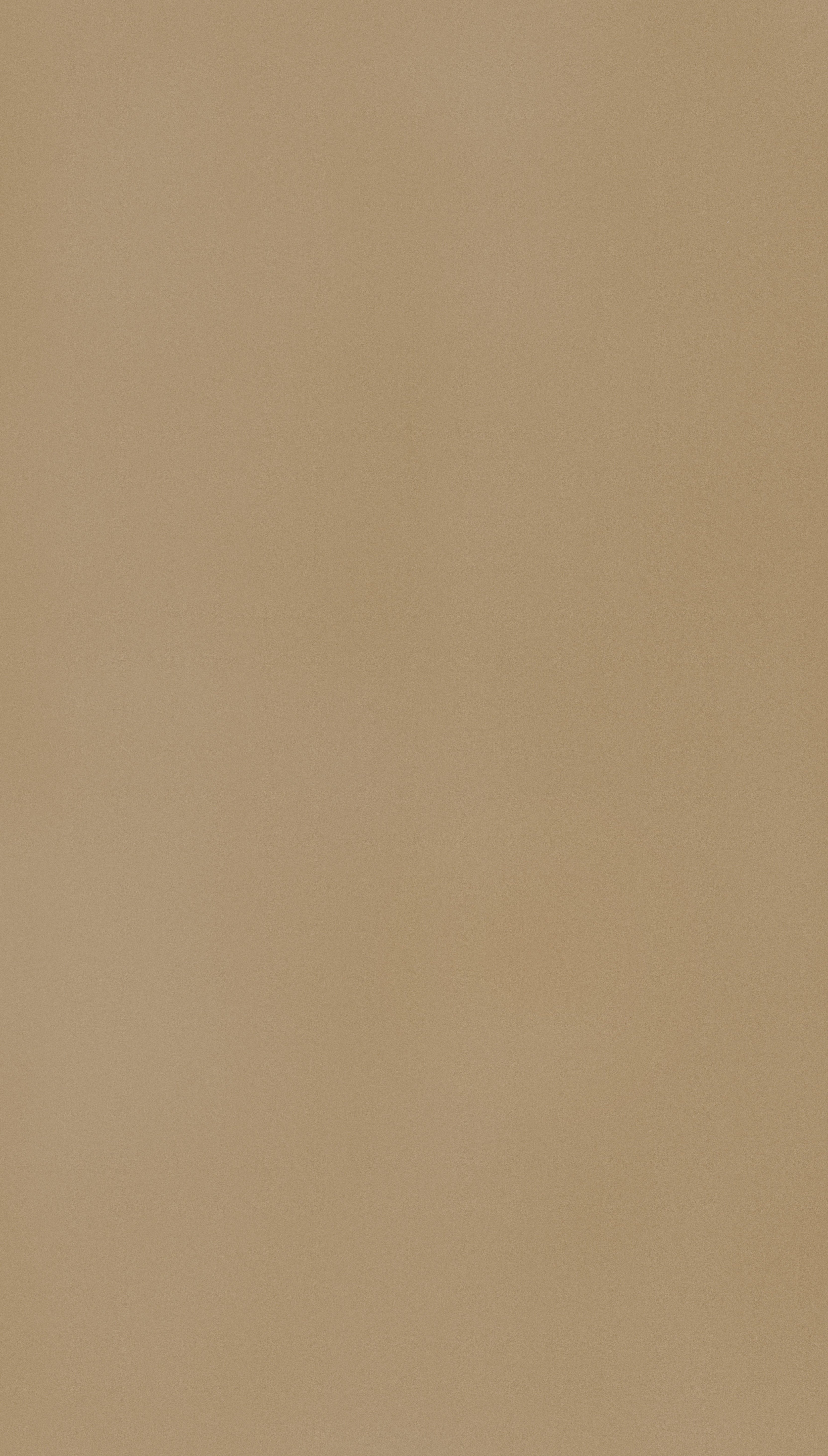 Tussock Beige Beige Plain colors Texture Laminate - Stylam