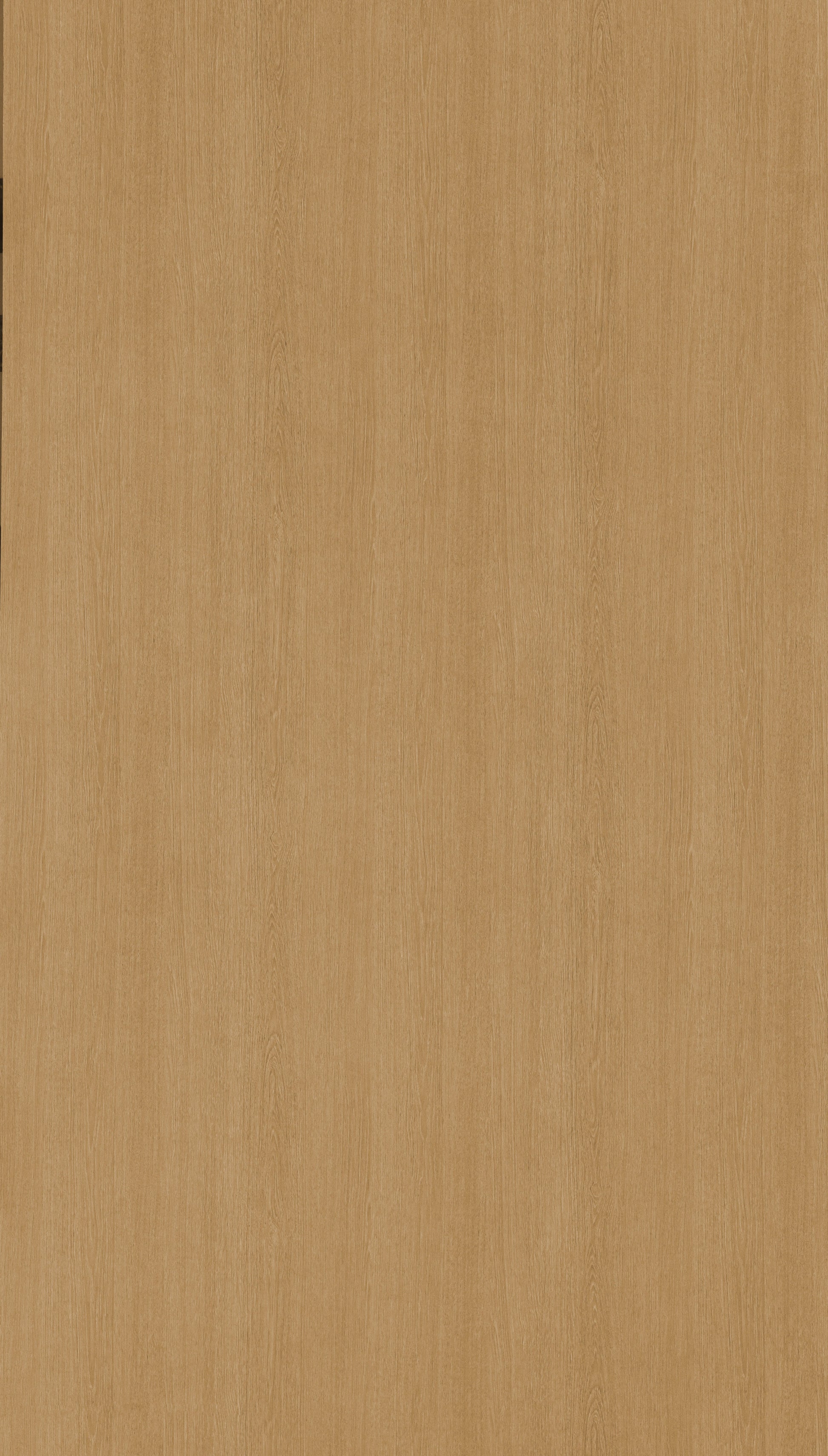 Linear Oak Beige Wood Texture Laminate - Stylam