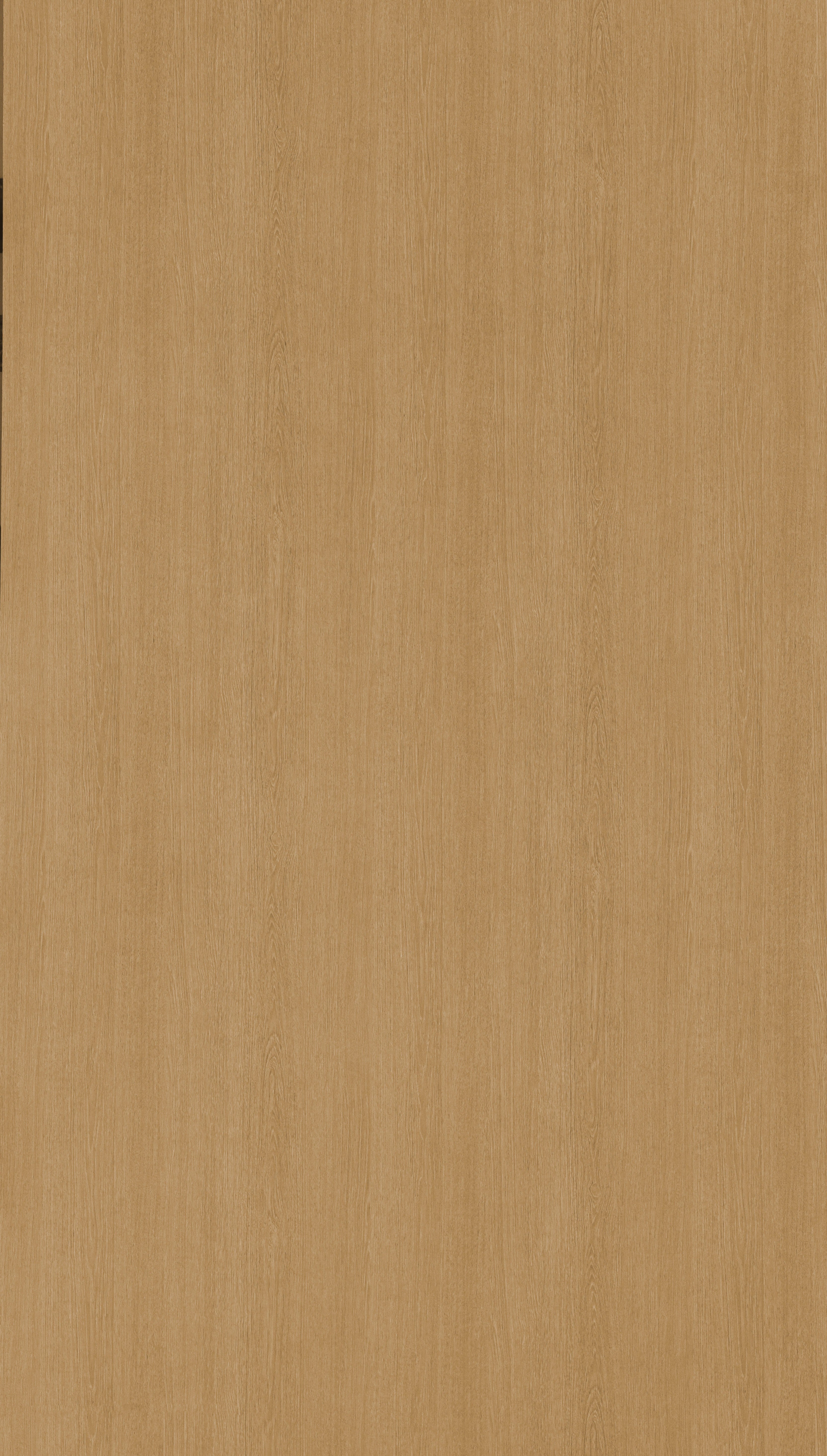 Linear Oak Beige Wood Texture Laminate - Stylam