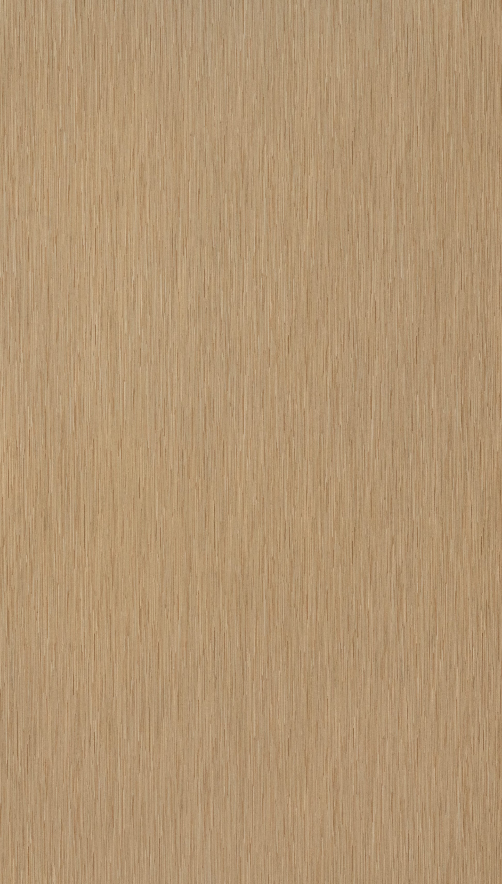 Cryptic Bamboo Beige Wood Texture Laminate - Stylam