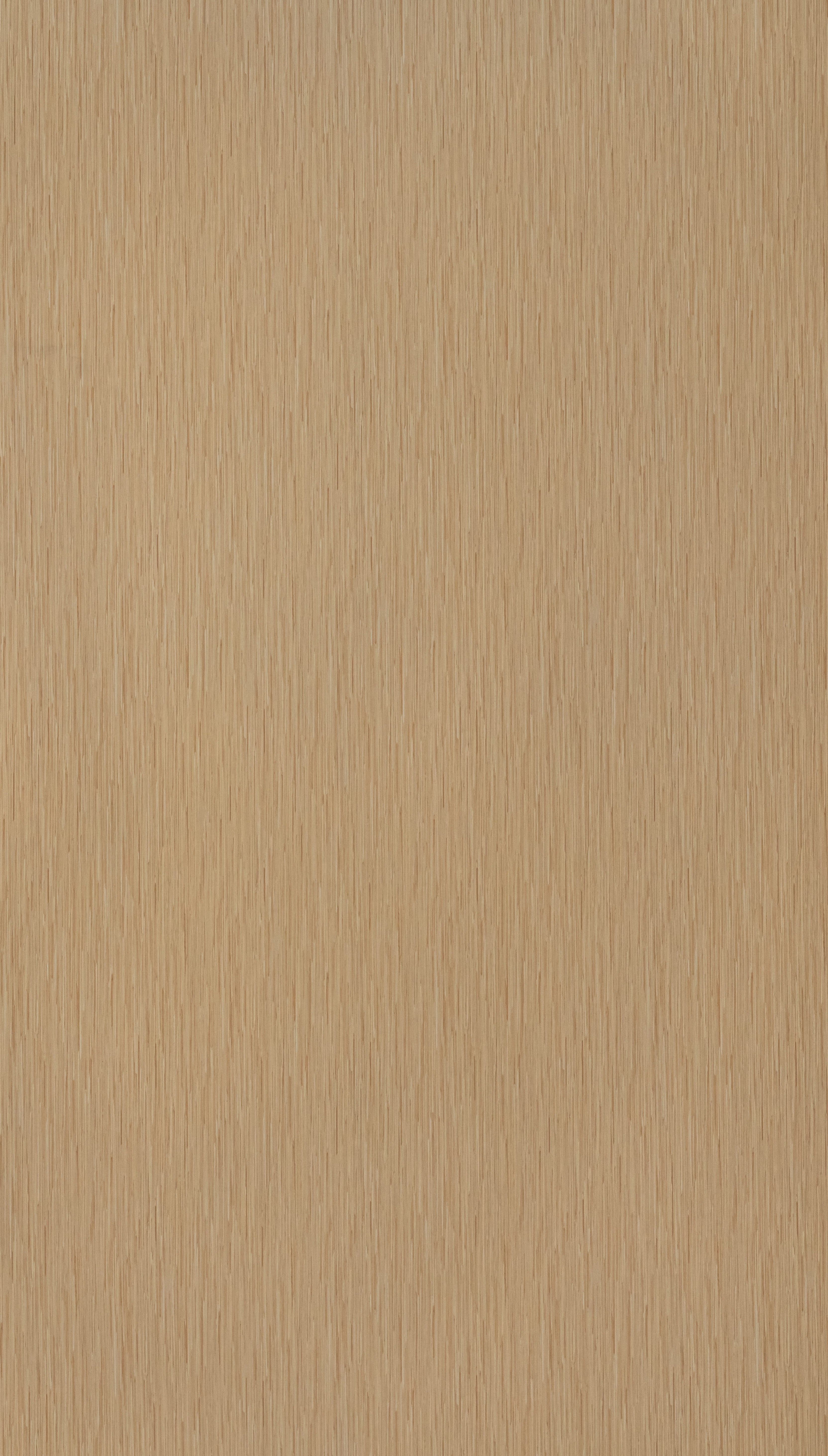 Cryptic Bamboo Beige Wood Texture Laminate - Stylam