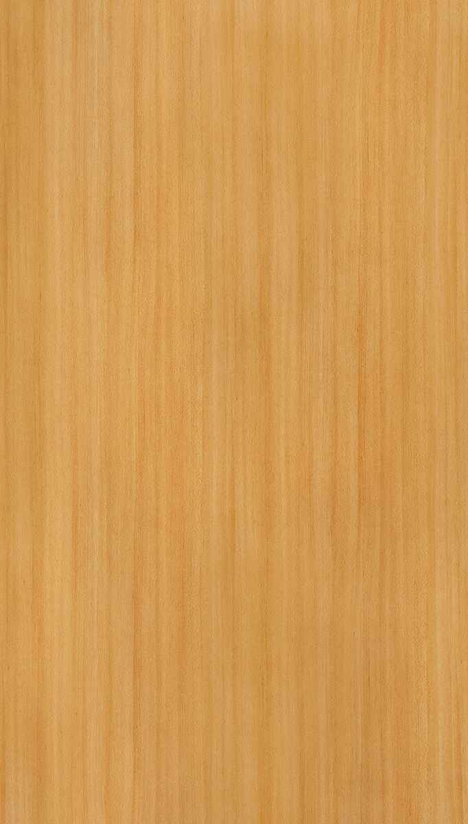 Sandy Beech Yellow Wood Texture Laminate - Stylam