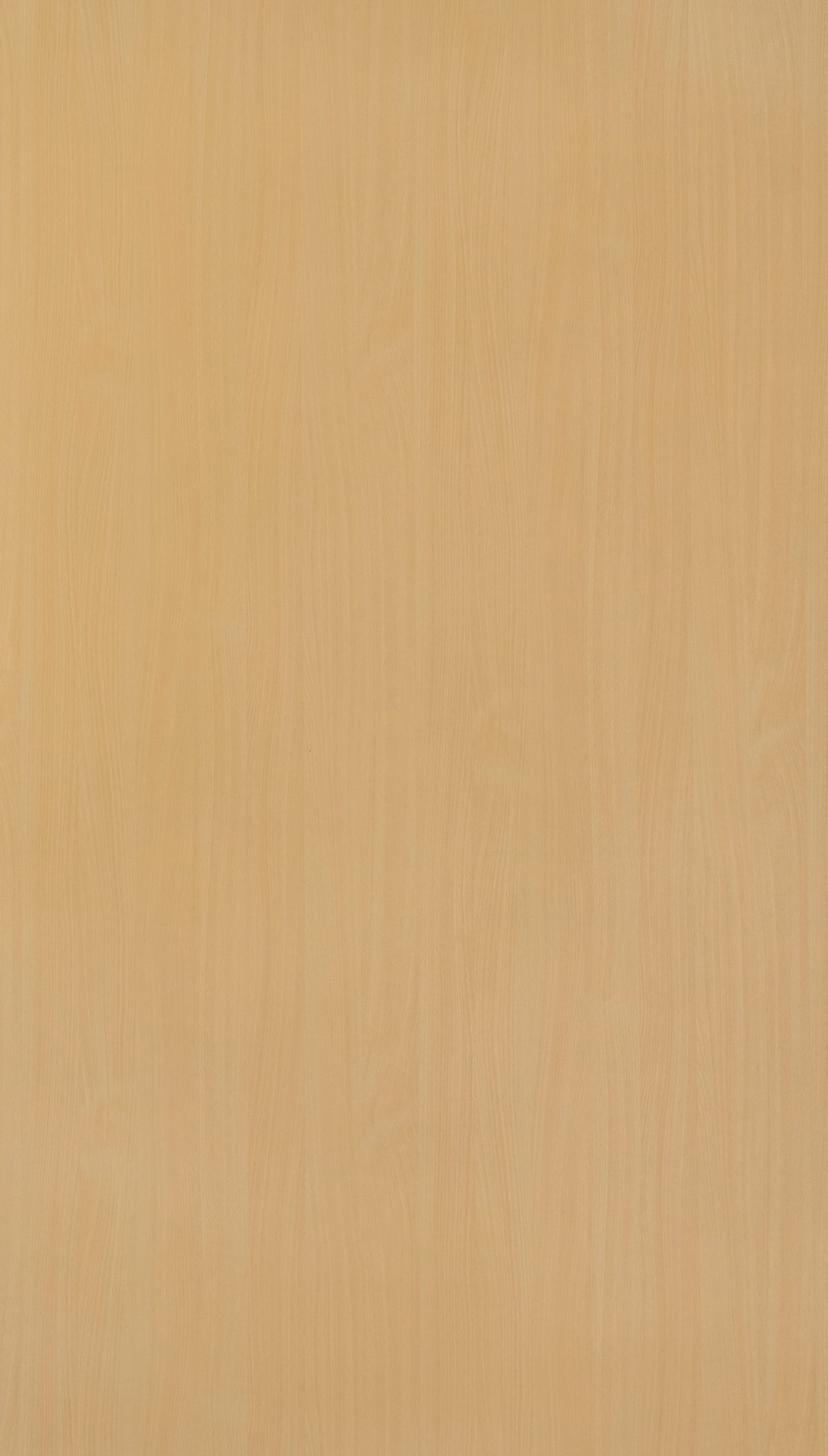 Siberian Beech Texture Laminate 4x8 ft | Stylam – Next Level Decor Chennai