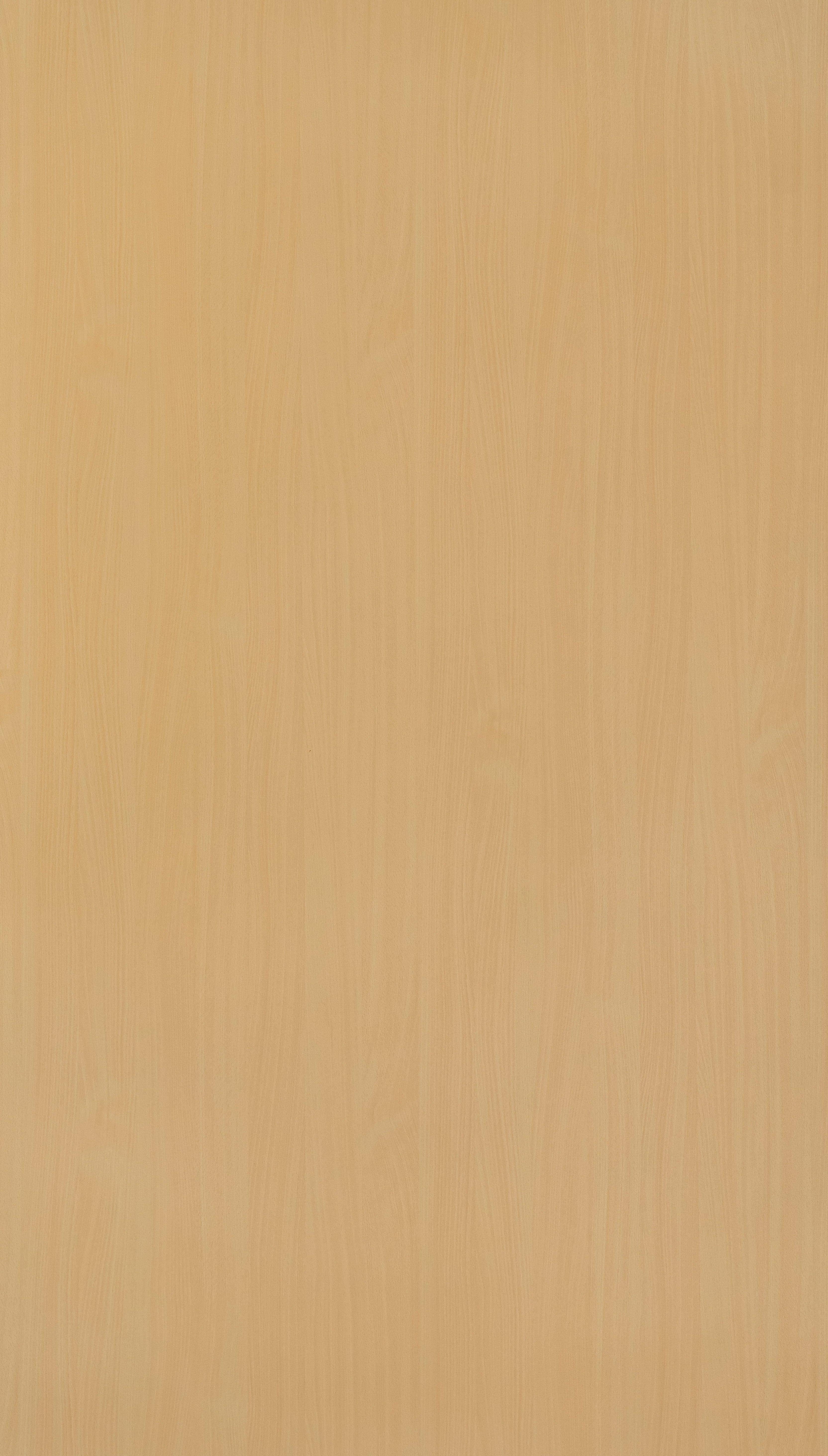 Siberian Beech Beige Wood Texture Laminate - Stylam