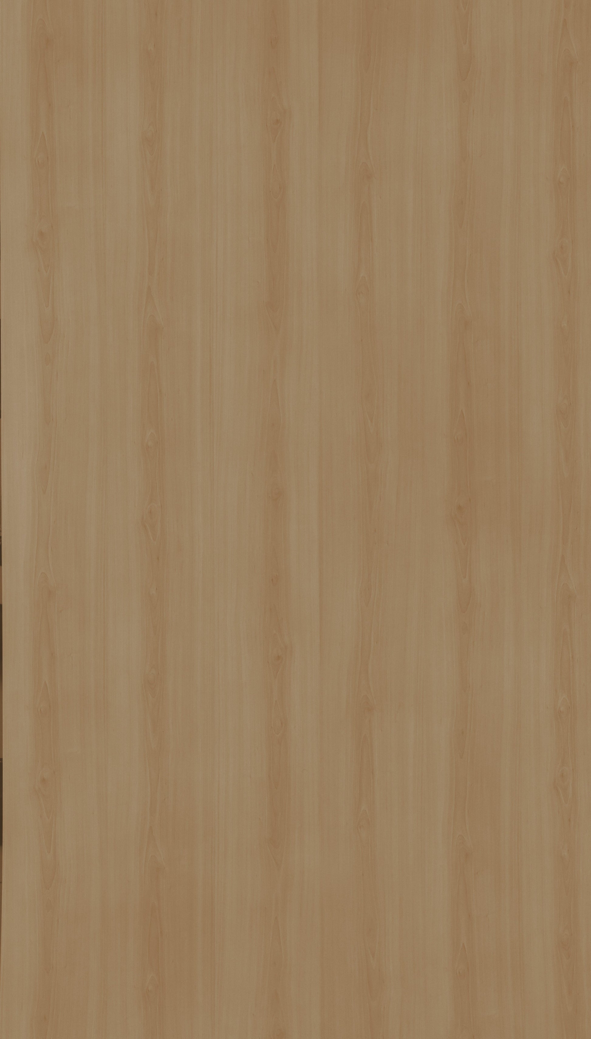 Classic Cream Beige Wood Texture Laminate - Stylam