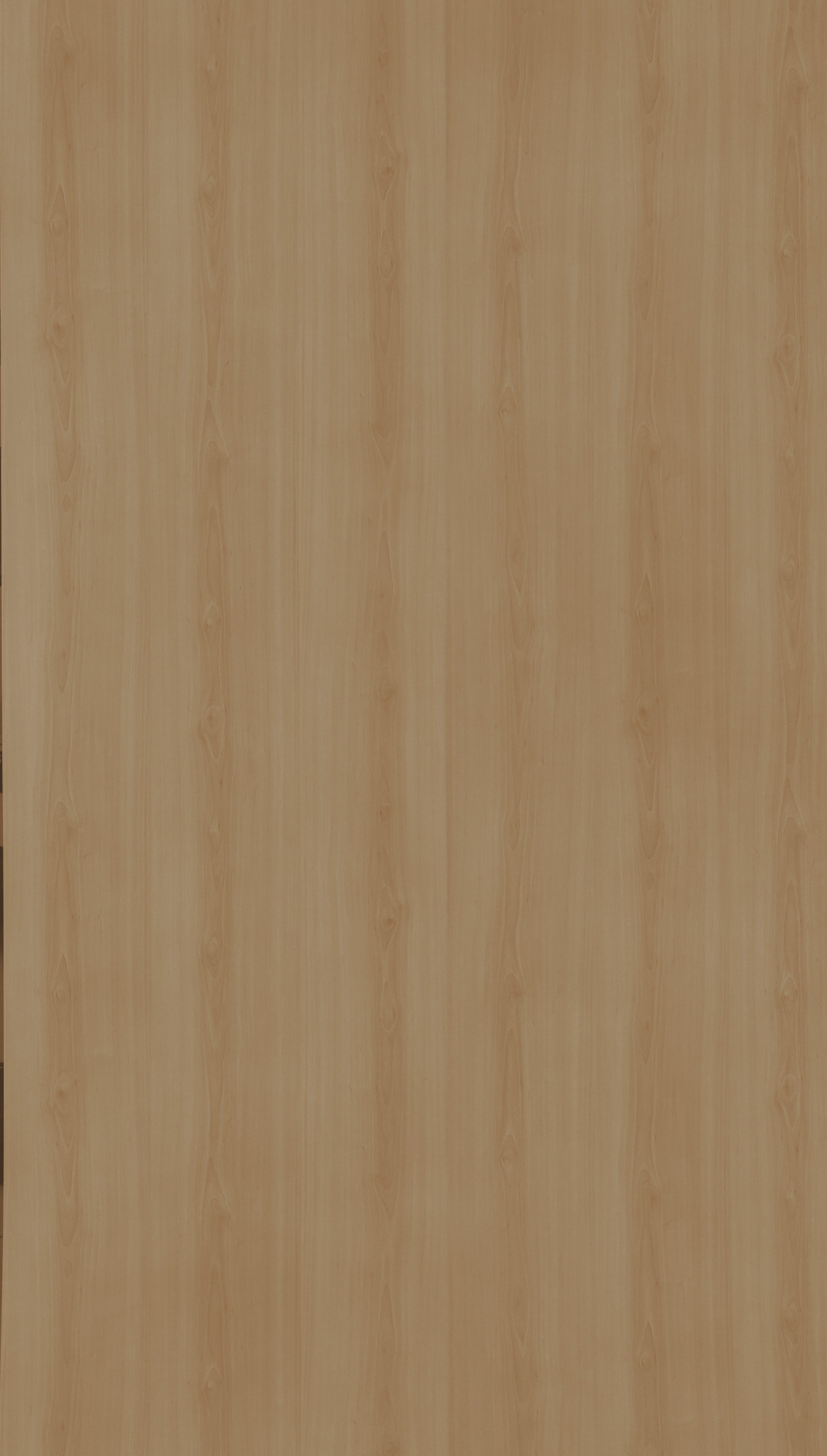 Classic Cream Beige Wood Texture Laminate - Stylam