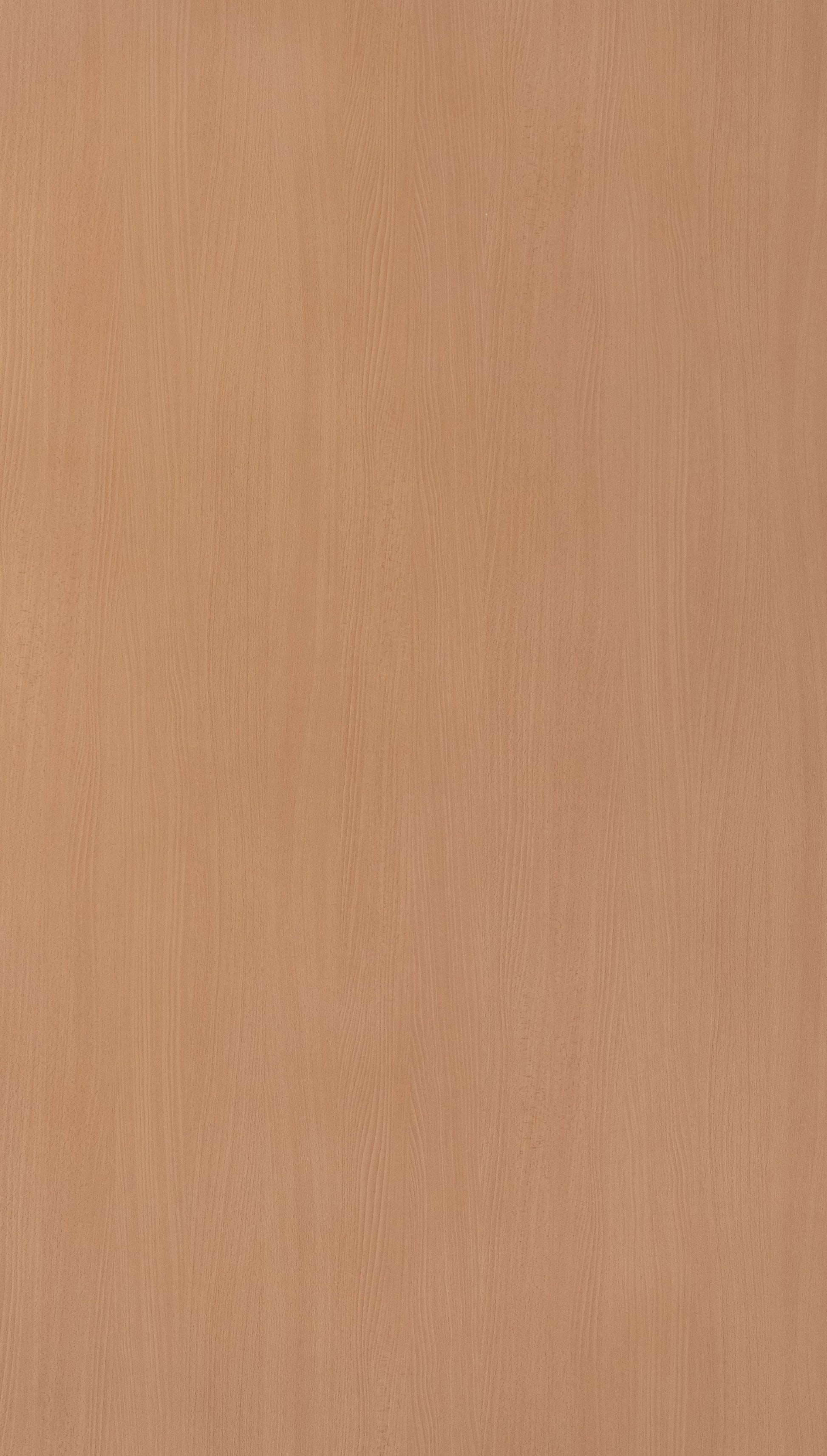 Weeping Beech Beige Wood Texture Laminate - Stylam