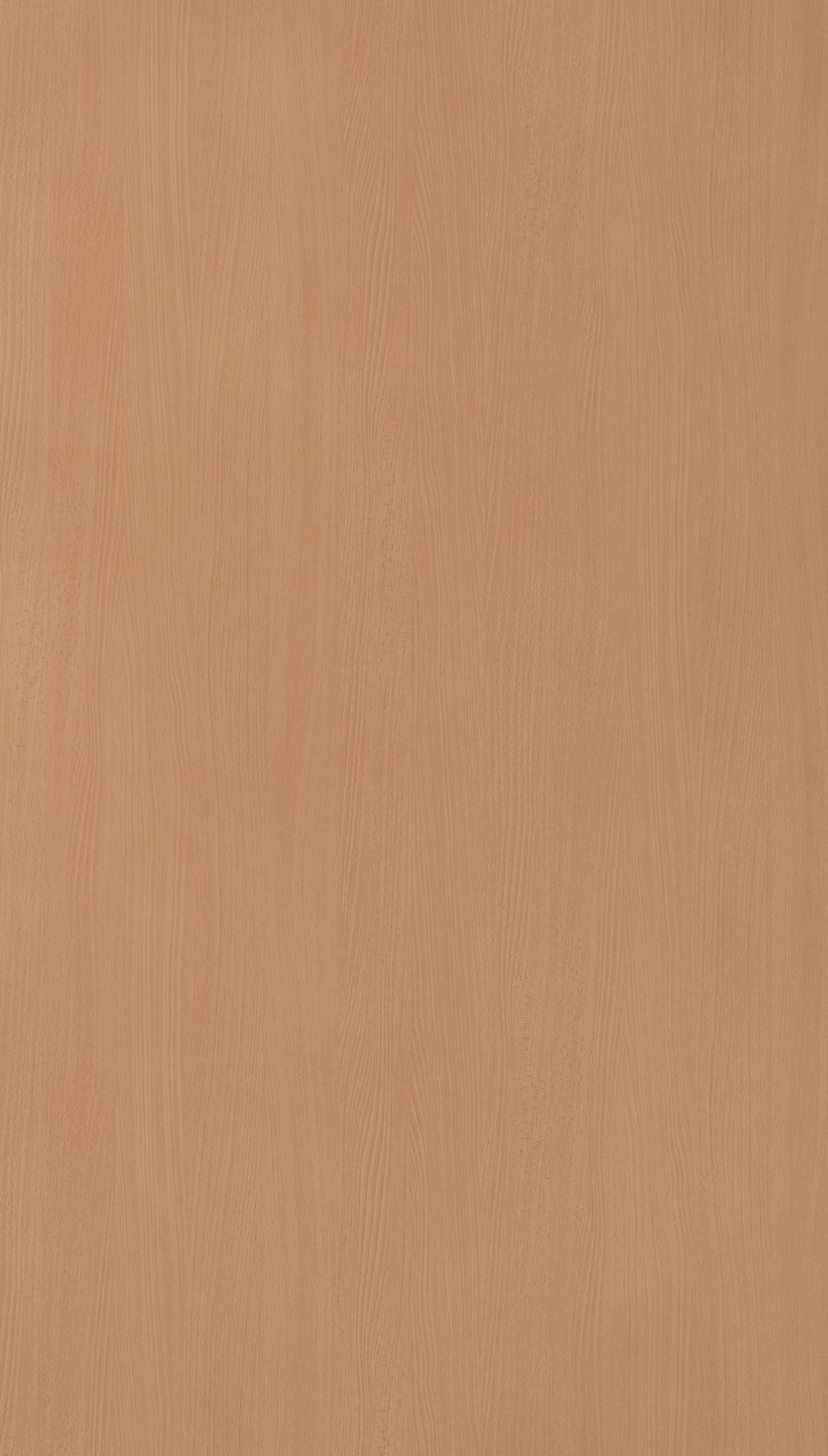 Weeping Beech Beige Wood Texture Laminate - Stylam